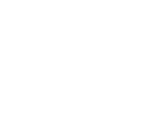 Aleon Real Estate